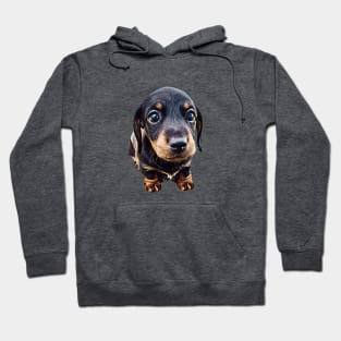 Mini Dachshund Black and Tan Puppy Dog Hoodie